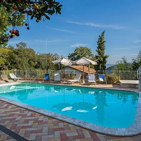 Dalia Apartment